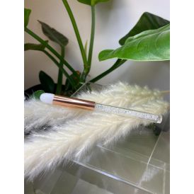 Lash foam brushes