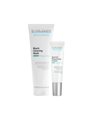 Schrammek Masketilbud - Regulating